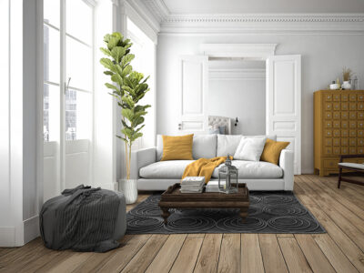 Higuera violin gondozásmentes növény 281232