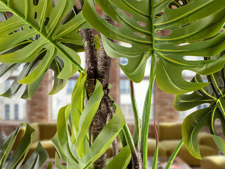 Monstera gondozásmentes növény levelek Monstera gondozásmentes növény levelek PVC-ből és fémből készült, lyukacsos levelekkel, gazdag textúrával, cement talpazattal, dekoratív mohaborítással és kaspóval.
